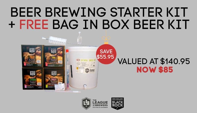 Beer Brewing Starter Kit + Free Bag in a Box Beer Kit