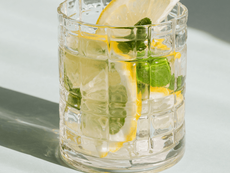 glass with gin and lemon