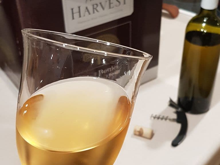 glass of wine with kit