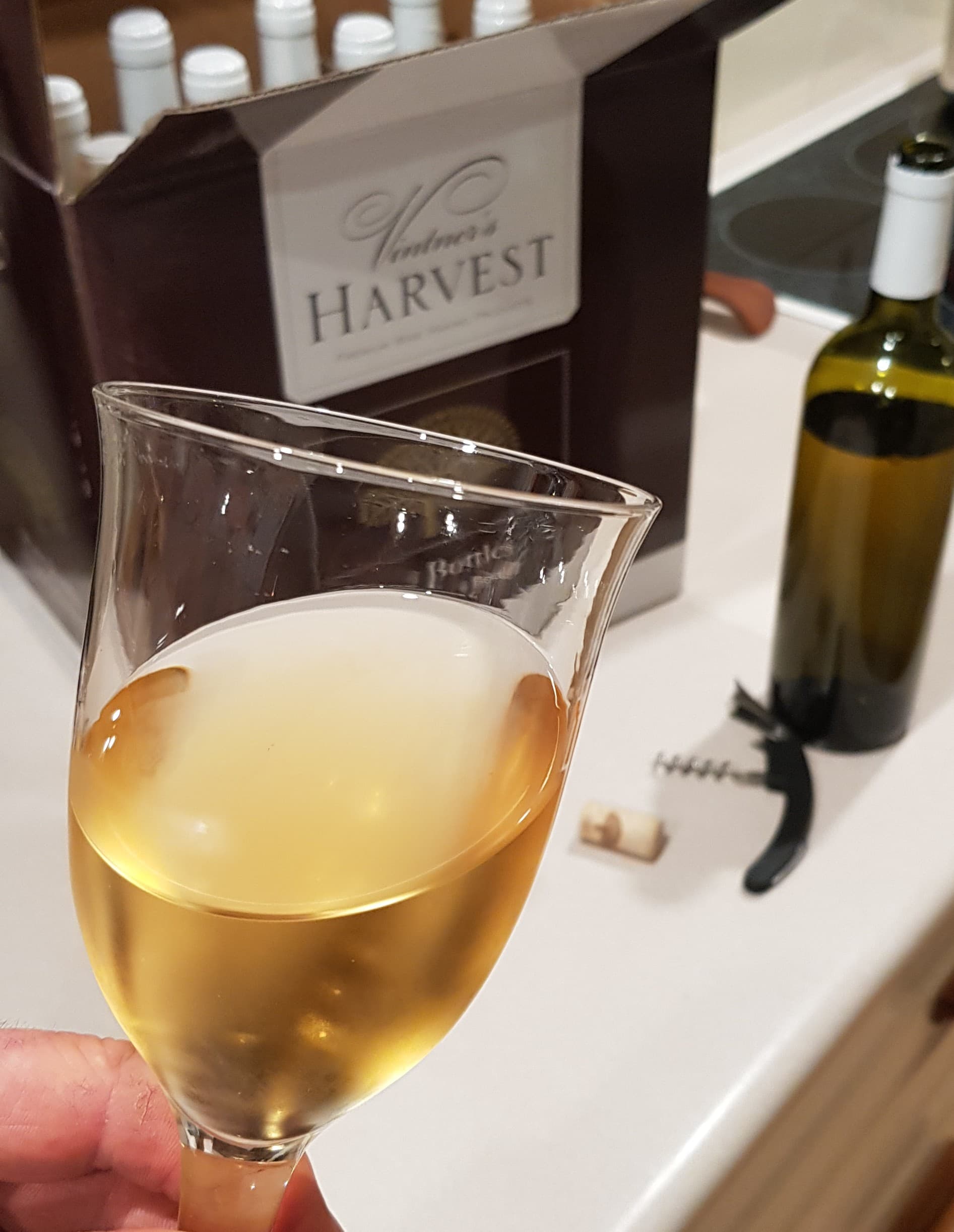 glass of wine with kit
