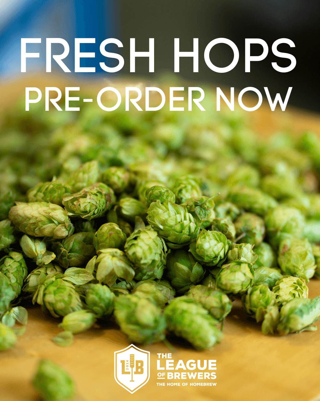 Fresh Hops 2026