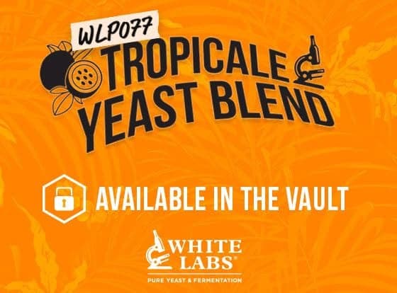 White Labs PurePitch® Next Generation WLP077 Tropicale Yeast Blend image 2