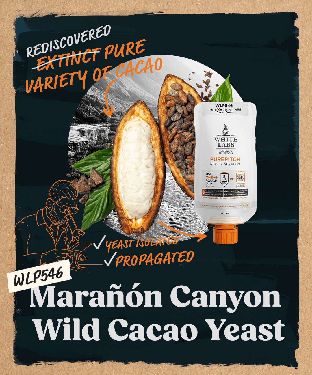 White Labs PurePitch® Next Generation WLP546 Marañón Canyon Wild Cacao Yeast image 2