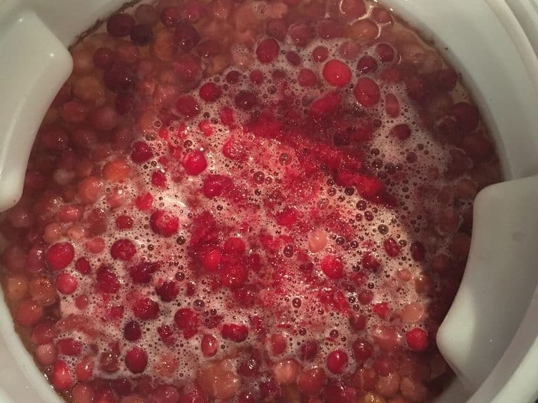 Fruit Beer