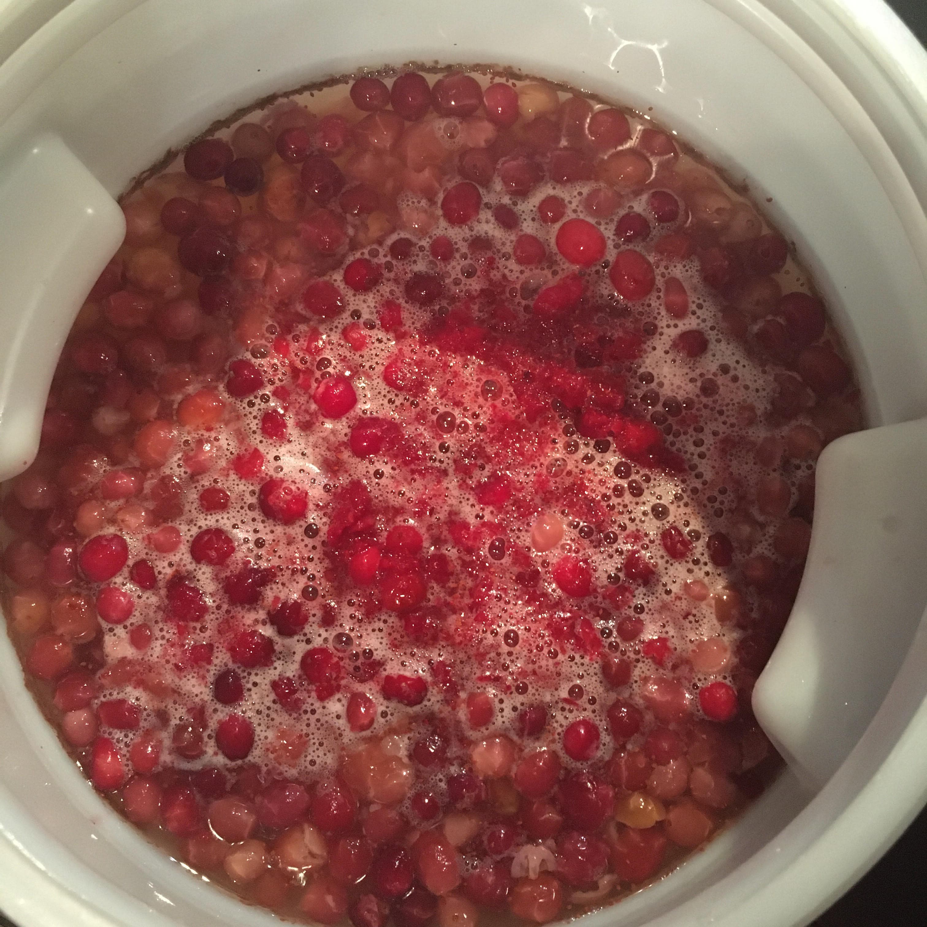 Fruit Beer