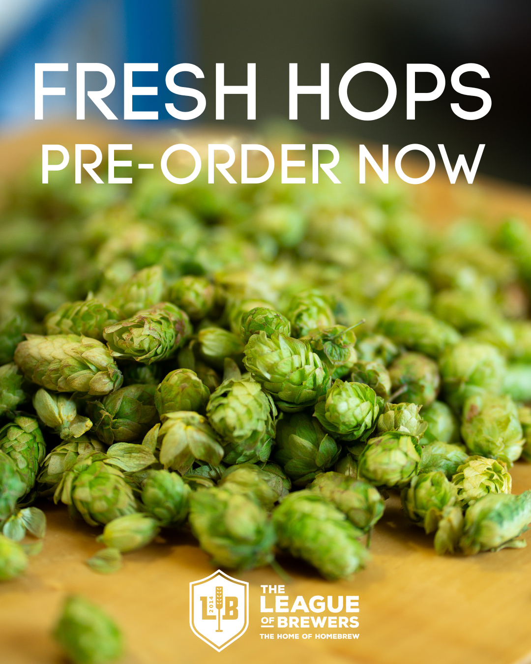 Fresh Hops 2025