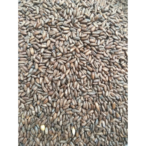 Gladfield Chocolate Rye Malt