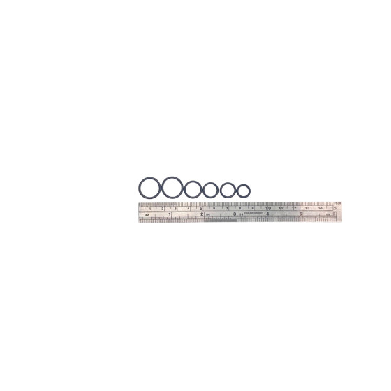 WilliamsWarn BrewBottler (gen2) O-Ring Kit