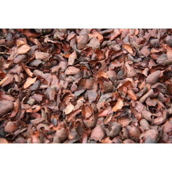 Cocoa Bean Husks