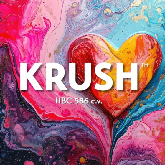 Krush hop