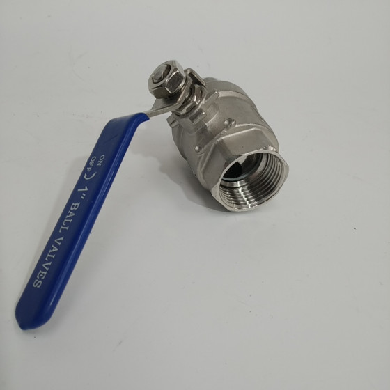 1" BSP Stainless Steel Ball Valve Assembly