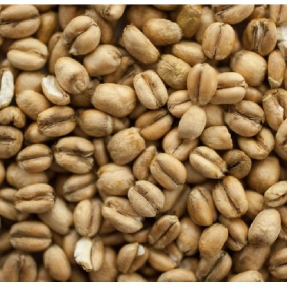 Bairds Torrefied Wheat