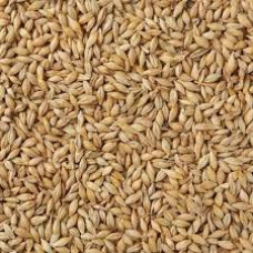 Gladfield Raw Barley