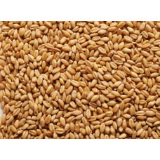 Gladfield Raw Wheat