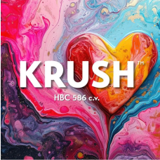 Krush™ Hops - Pellets (US)