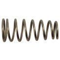 Intertap spring