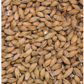 Gladfield Vienna Malt