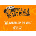 WLP077 tropicale