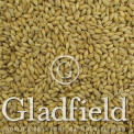 Gladfield Pilsner malt
