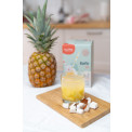 Mad Millie Kefir Kit 