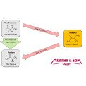 D Gone (Alpha Acetolactate Decarboxylase)