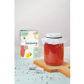 Mad Millie Kombucha Kit