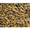 Gladfield Big O - Malted Oats
