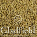 Munich malt