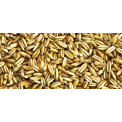 Golden Naked Oats