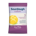 Sourdough Yeast / Culture