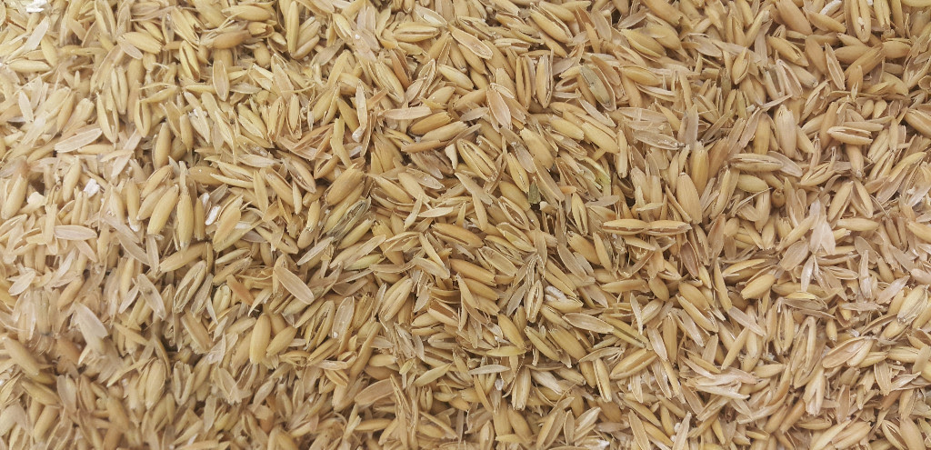 Gladfield Oat Hulls Other Grains League of Brewers NZ